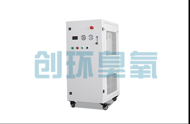景德镇工厂化养鲈必看：2026年臭氧发生器替代传统消毒的最新方案