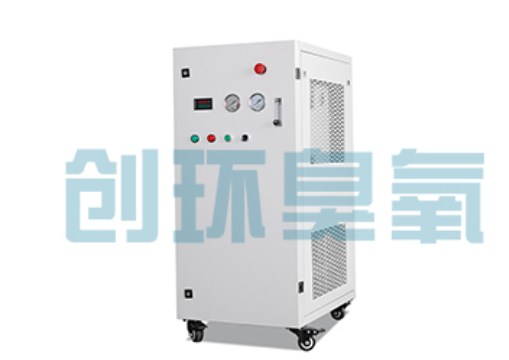 景德镇石斑鱼养殖水质调控完整指南：臭氧发生器配置与操作步骤
