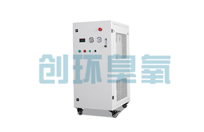景德镇比传统换水更高效？臭氧发生器在石斑鱼养殖中的水质净化原理解析